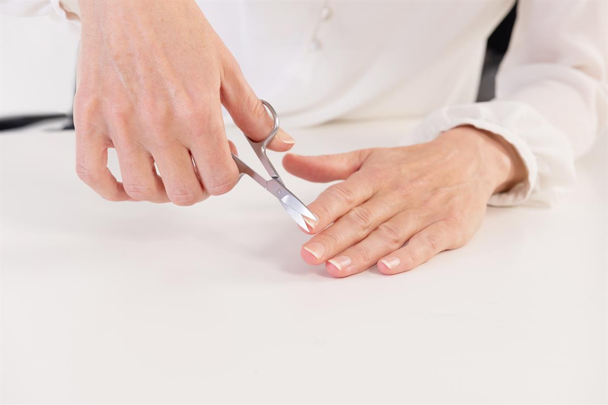 Ciseaux à ongles droit, inoxydables