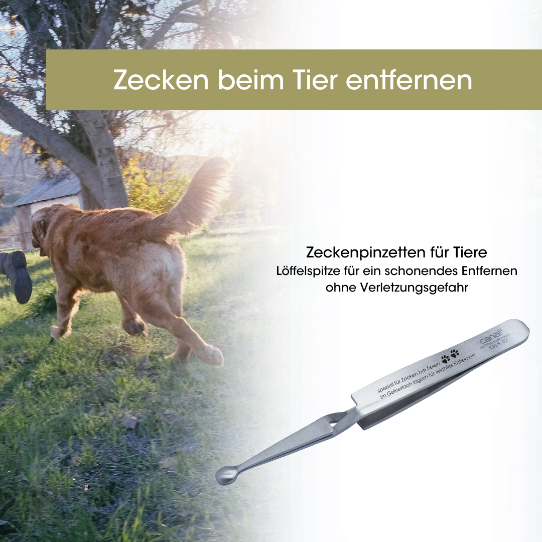 Zeckenpinzette für Tiere rostfrei