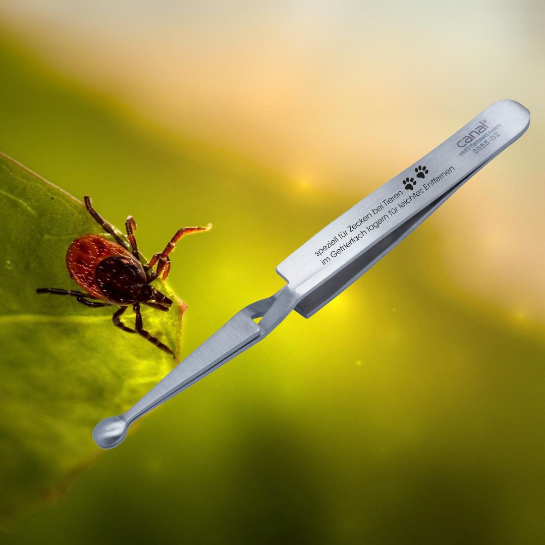 tick tweezers for animals stainless